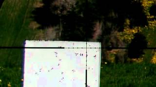 HW100 Shooting flies 45 Meter [upl. by Gnahc]