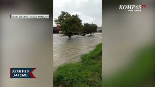 Video Warga Kembali Jebolnya Tanggul Sungai Wulan di Demak [upl. by Shorter934]