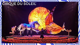 60MINUTE SPECIAL 6  Cirque du Soleil  One Night for One Drop [upl. by Alim886]