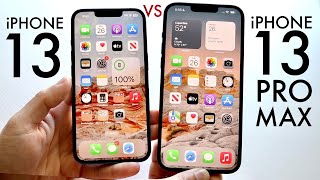 iPhone 13 Vs iPhone 13 Pro Max In 2023 Comparison Review [upl. by Ordnajela674]