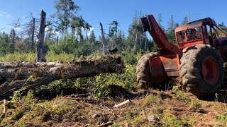 Old Forestry Equipment 230 Timberjack Skidder Hauls Massive Hardwood Ultimate Logging Machine [upl. by Saudra]