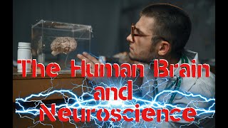 The Fascinating World of Neuroscience Exploring the Brain and its Functions [upl. by Antonin]