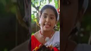 തത്തയോട് പിണങ്ങരുതേ  Prithviraj  Navya Nair  Kalabhavan Mani  Vellithira [upl. by Maloney]