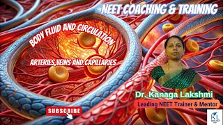 NEET Biology 2025 Body Fluids and Circulation Arteries Veins and Capillaries [upl. by Base703]