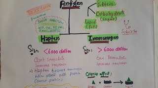 Immunology lec10 Antigen Hapten and Immunogen [upl. by Neyuq]