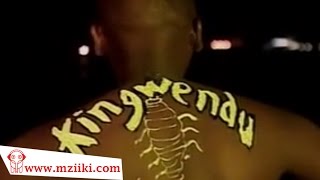 Kingwendu  Mapepe  Official Video [upl. by Adirahs]