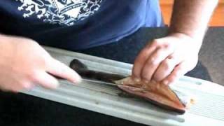 How to Fillet a Fish [upl. by Janina]