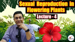 Sexual Reproduction in Flowering Plants l Lecture 4 l Biology l NEET [upl. by Armando]