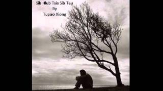 Tupao Xiong  Sib Hlub Tsis Sib Tau Cover [upl. by Volney555]