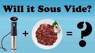 Will It Sous Vide  Bulgogi Beef 불고기  With and Without a Finishing Sear [upl. by Graces523]