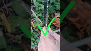 Chainsaw chain sharpening tips [upl. by Hajed]