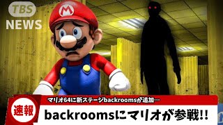 バックルームにマリオが参戦しました…【レベル解説】 [upl. by Gaultiero]