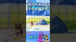 【ポケモンSV】雪証アローラライチュウ色違い瞬間判断トレーニング 雪ころアロライ pokemon shorts [upl. by Eyahs743]