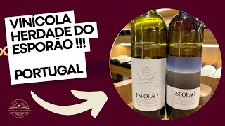 VINHO PORTUGUÊS ESPORÃO [upl. by Melcher706]