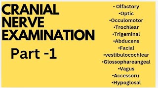 Cranial Nerve Examination [upl. by Leund]