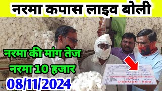 08 नवम्बर 2024 नरमा कपास का भाव नरमा फिर तेजी  कपास में तेजी बरकरार narma kapas ka bhav [upl. by Oizirbaf356]