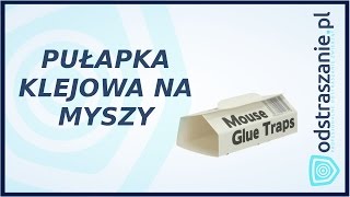 Pułapka klejowa na myszy STV 182 Myszy w domu Jak złapać mysz [upl. by Anatole]