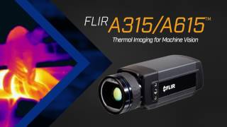 FLIR Thermal Imaging for Automation amp Industrial Safety [upl. by Frederico]