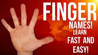 English vocabulary–Finger names Vocabulario en inglés Nombre de los dedos [upl. by Keene]