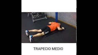 Ejercicio para trabajar Trapecio inferior y medio [upl. by Crissie]