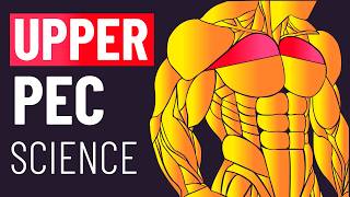 Blow up Your Upper Chest With These Exercises Science Based [upl. by Atteoj]