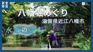 八幡堀めぐり 新緑に映える手漕ぎ和舟＝近江八幡市 [upl. by Artema]