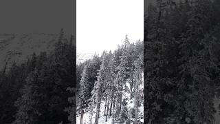 Flagstaff Snow Bowl shorts shortsvideo reels usa gondola viralvideo [upl. by Savior]