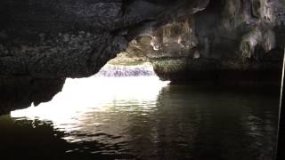 Langkawi Mangrove Tour Crocodile Cave [upl. by Arrekahs975]