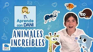 Animales increíbles  Aprende con Dani [upl. by Bronwyn]