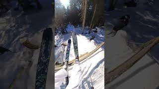 Save the snow Ski Fences [upl. by Liba]