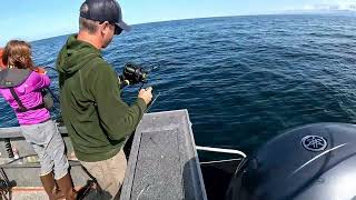 Homer Alaska Fishing 8192023 [upl. by Anenahs142]