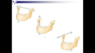 Lecture 7  Mandibular Movements [upl. by Stuart240]