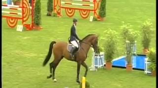 CANSTAKKO Hannover jumping stallion by Canturo x Stakkato wwwequineevolutioncom [upl. by Soigroeg380]