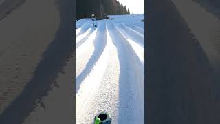 tobogganing is fun 🌨☃️❄🇨🇭 snowslides toboggan tobogganpark amusementpark shorts satisfying [upl. by Melba]