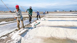 India’s Cheapest Technique to Produce Massive Tons of Salt Every Year [upl. by Sileray]