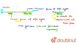 How lytic cycle differs from lysogenic cycle   CLASS 11  BIOLOGICAL CLASSIFICATION  BIOLOGY [upl. by Stuart]