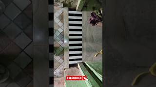 Amazing Floortiles Door Feeting shots youtubeshorts tiles by suhana construction [upl. by Kalk365]