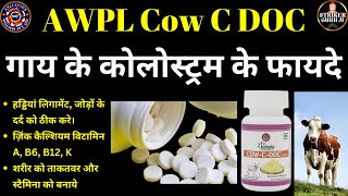 Benefits of Colostrum  Colostrum Ke Fayade  Cow C Doc Awpl  Striker Guru Ji [upl. by Ginzburg62]