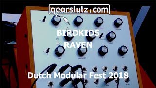 Birdkids Raven  DMF 2018 [upl. by Aikat]