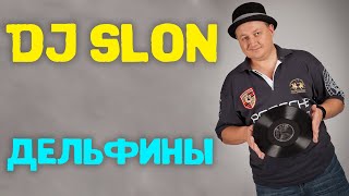 Dj Slon  Дельфины все дельфины в ураган  Аудио [upl. by Marnia]