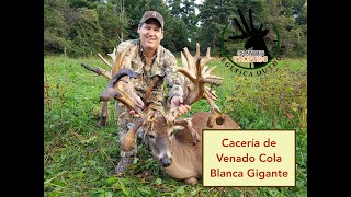 Cacería de Venado Grande Atípico en Quest Haven para Grandes Trofeos del 18 de Noviembre [upl. by Earvin]