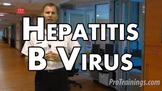 Hepatitis B Virus [upl. by Tillo]