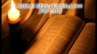 Biblia HabladaBIBLIA REINA VALERA 1960 JOB CAP 5 [upl. by Mikes]