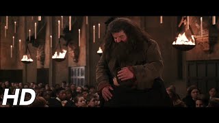 Theres no Hogwarts without you Hagrid  Harry Potter and the Chamber of Secrets [upl. by Hallvard]