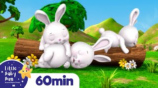 Sleeping Bunnies More Nursery Rhymes and Kids Songs  Little Baby Bum [upl. by Shum]