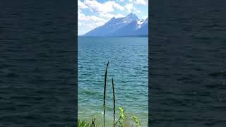 Teton National Park 4 highlight [upl. by Zobkiw893]