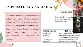 Protocolo y Levantamiento Del Camarón Penaeus vannamei [upl. by Yahska110]