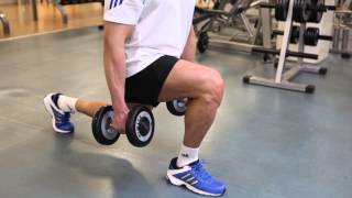 Dumbbell Lunges  Thighs Exercise [upl. by Hogle]