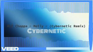 NLE Choppa  Molly  Cybernetic Remix [upl. by Neetsyrk]