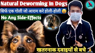 Natural Deworming करें 😱  No Any SideEffects  Natural Dewormer For Dogs  कितनी और कब दे 🤔 [upl. by Fesoj]